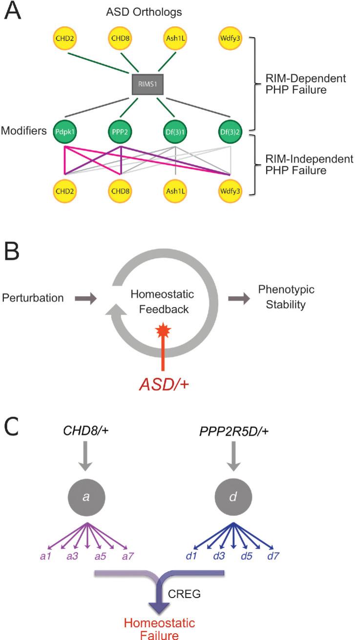 https://cdn.ncbi.nlm.nih.gov/pmc/blobs/3e2f/7394548/8a8b8cc971e9/elife-55775-fig9.jpg