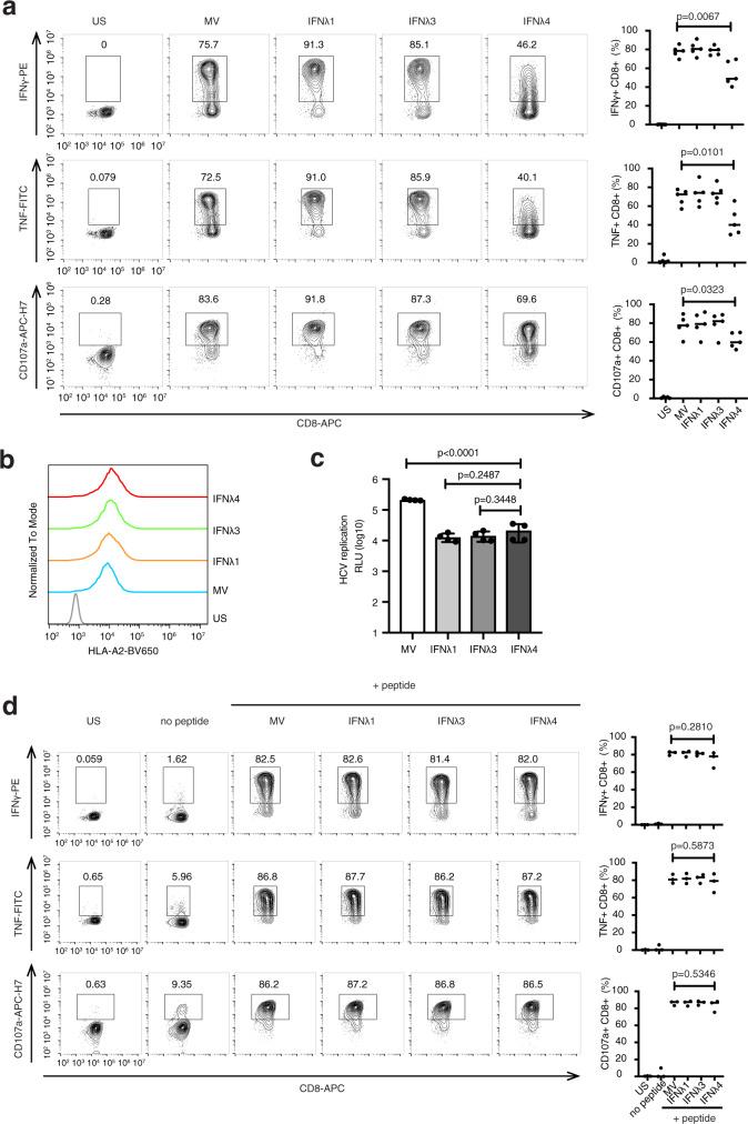 https://cdn.ncbi.nlm.nih.gov/pmc/blobs/3e30/8360984/21280517071c/41467_2021_25218_Fig6_HTML.jpg