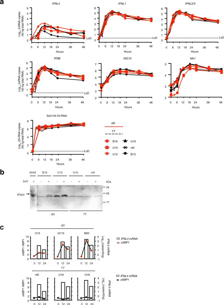 https://cdn.ncbi.nlm.nih.gov/pmc/blobs/3e30/8360984/a7ca4e30996e/41467_2021_25218_Fig5_HTML.jpg