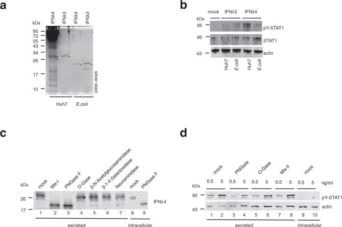 https://cdn.ncbi.nlm.nih.gov/pmc/blobs/3e30/8360984/acee92035d02/41467_2021_25218_Fig3_HTML.jpg