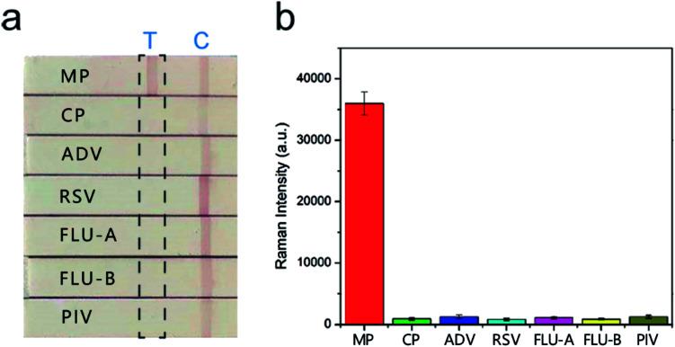 https://cdn.ncbi.nlm.nih.gov/pmc/blobs/3e30/9080884/296800ceb6c5/c8ra03323d-f6.jpg