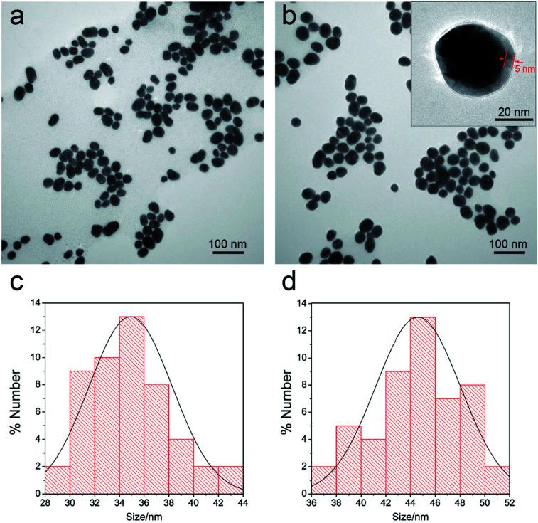 https://cdn.ncbi.nlm.nih.gov/pmc/blobs/3e30/9080884/ca99643a1524/c8ra03323d-f2.jpg
