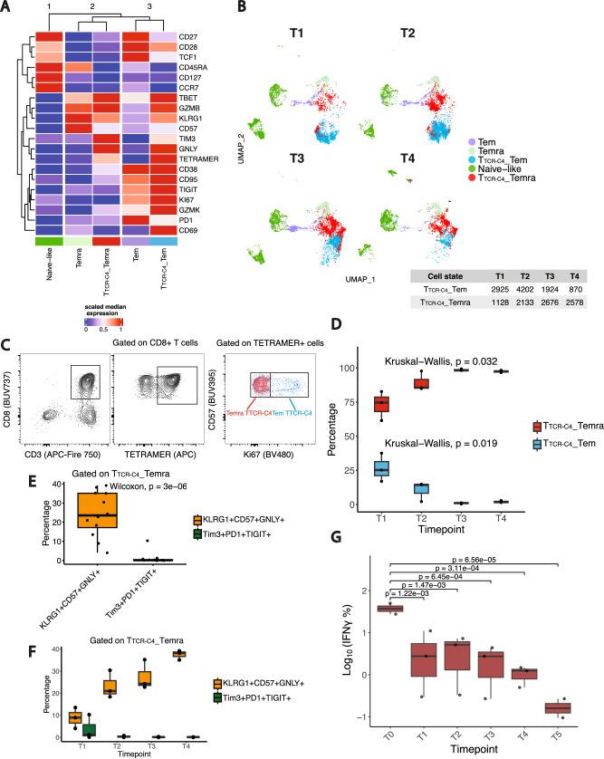 https://cdn.ncbi.nlm.nih.gov/pmc/blobs/3e31/12141728/7440b86dcd9c/41467_2025_60394_Fig2_HTML.jpg