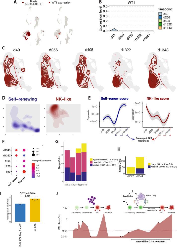 https://cdn.ncbi.nlm.nih.gov/pmc/blobs/3e31/12141728/84db87b2a0a0/41467_2025_60394_Fig7_HTML.jpg