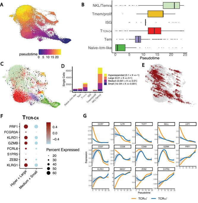 https://cdn.ncbi.nlm.nih.gov/pmc/blobs/3e31/12141728/e563c9bb1c37/41467_2025_60394_Fig4_HTML.jpg
