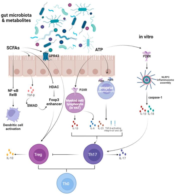 https://cdn.ncbi.nlm.nih.gov/pmc/blobs/3e33/12114443/740357aaa64a/microorganisms-13-01073-g003.jpg