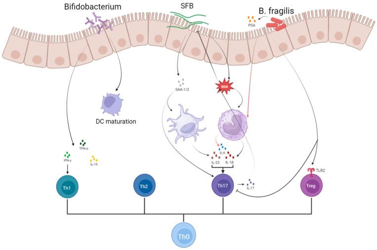 https://cdn.ncbi.nlm.nih.gov/pmc/blobs/3e33/12114443/8e36c701060d/microorganisms-13-01073-g002.jpg
