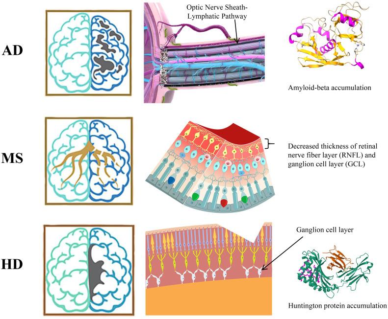 https://cdn.ncbi.nlm.nih.gov/pmc/blobs/3e34/12380564/113865dfcf6c/fimmu-16-1595275-g006.jpg