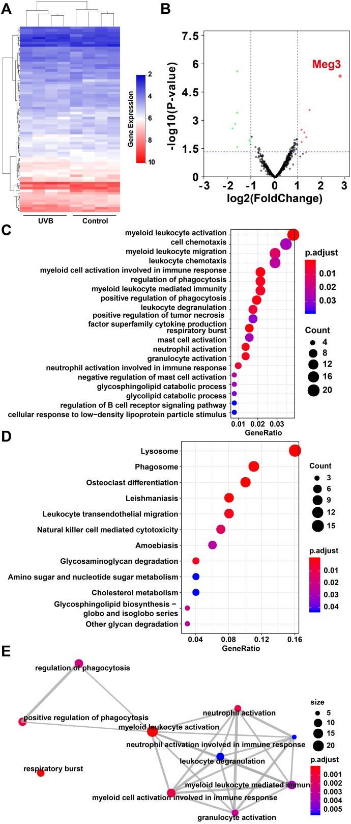https://cdn.ncbi.nlm.nih.gov/pmc/blobs/3e35/6914409/a0eec17a86e4/aging-11-102483-g001.jpg