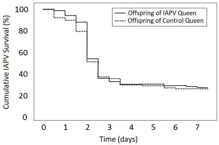 https://cdn.ncbi.nlm.nih.gov/pmc/blobs/3e35/7150968/39aef15ba27f/viruses-12-00322-g002.jpg