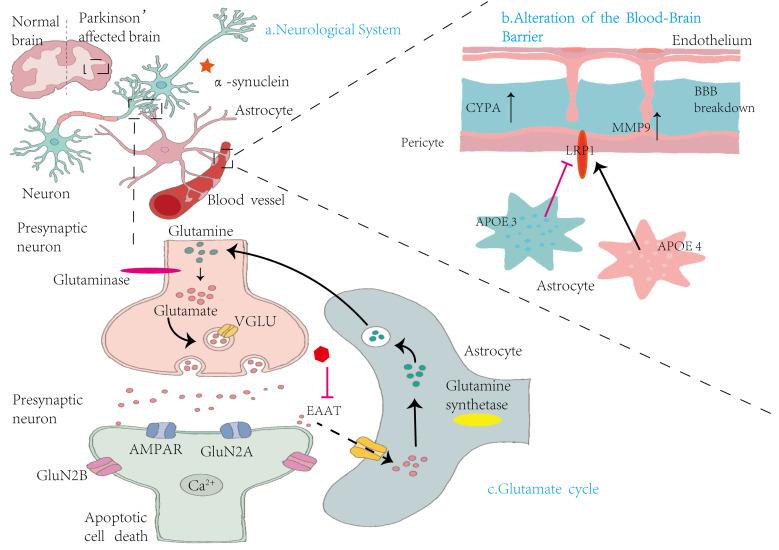 https://cdn.ncbi.nlm.nih.gov/pmc/blobs/3e38/12433622/3fe80348f7b0/peerj-13-19998-g003.jpg