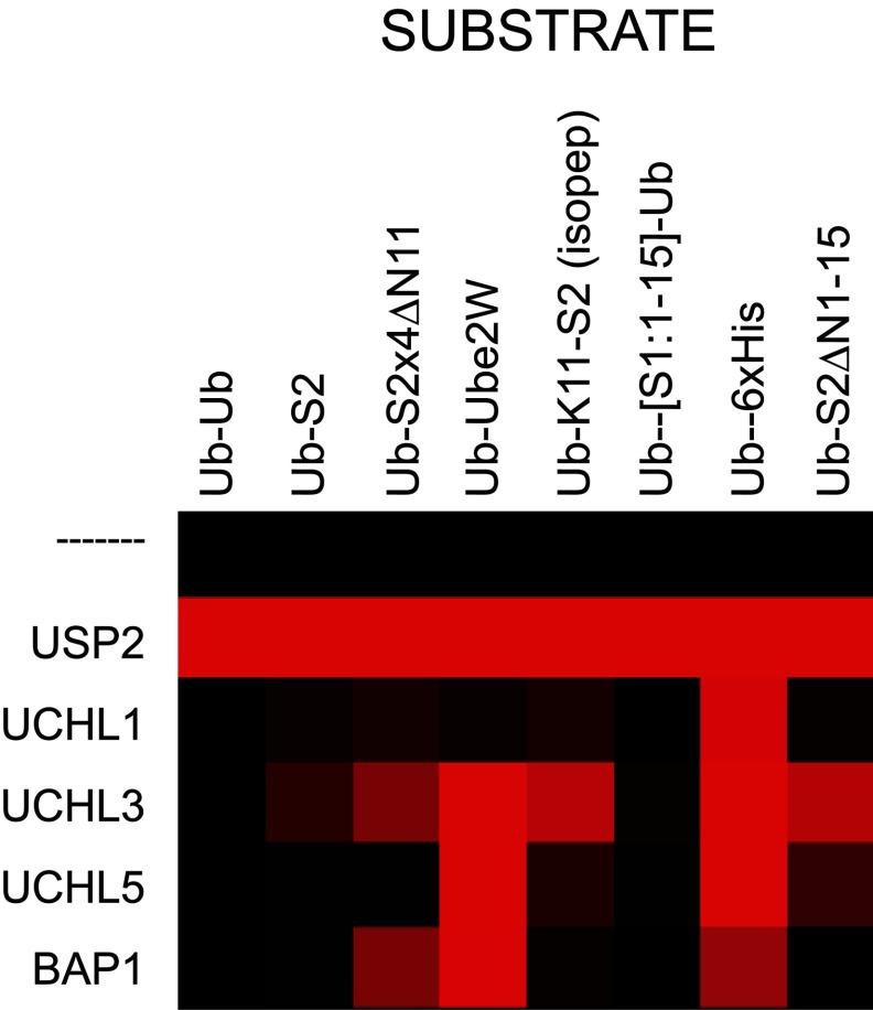 https://cdn.ncbi.nlm.nih.gov/pmc/blobs/3e38/4353193/332b86161a88/bj2014-1349i006.jpg