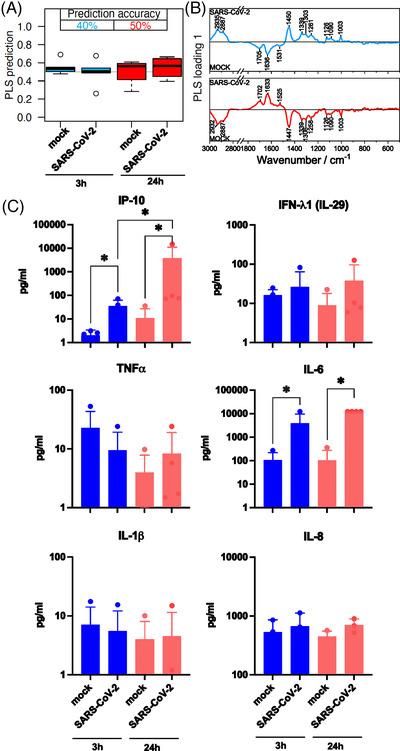https://cdn.ncbi.nlm.nih.gov/pmc/blobs/3e3a/9763540/f870444abbef/CTM2-12-e1139-g004.jpg