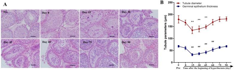 https://cdn.ncbi.nlm.nih.gov/pmc/blobs/3e3c/5689656/009809e85ebf/oncotarget-08-85909-g002.jpg