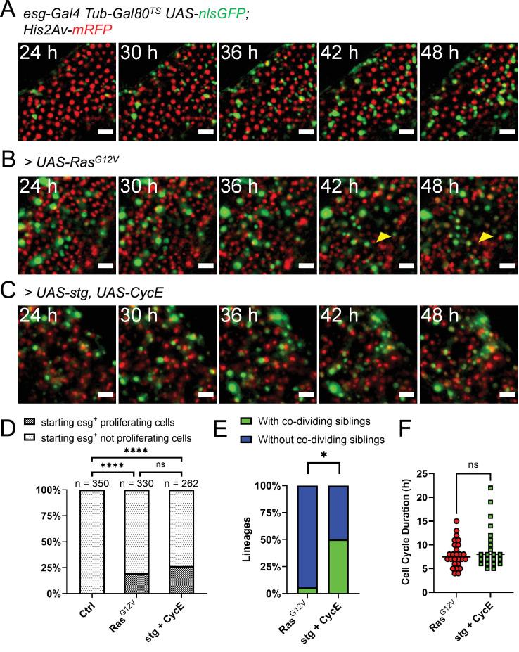 https://cdn.ncbi.nlm.nih.gov/pmc/blobs/3e3c/9578704/712ff8574fca/elife-76010-fig4.jpg
