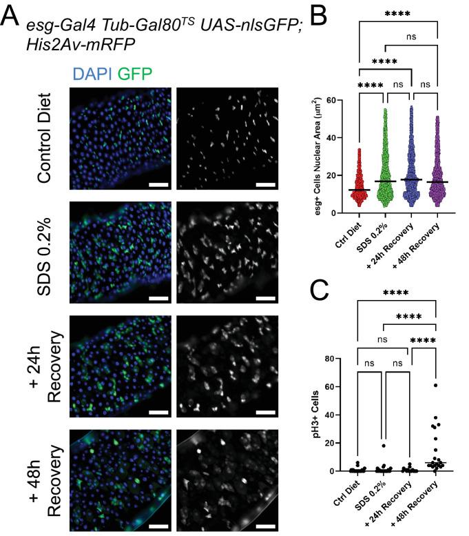 https://cdn.ncbi.nlm.nih.gov/pmc/blobs/3e3c/9578704/8a13d289ce52/elife-76010-fig3-figsupp1.jpg