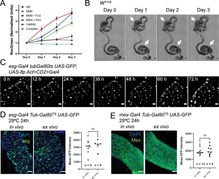 https://cdn.ncbi.nlm.nih.gov/pmc/blobs/3e3c/9578704/edcd2ed5f260/elife-76010-fig2.jpg