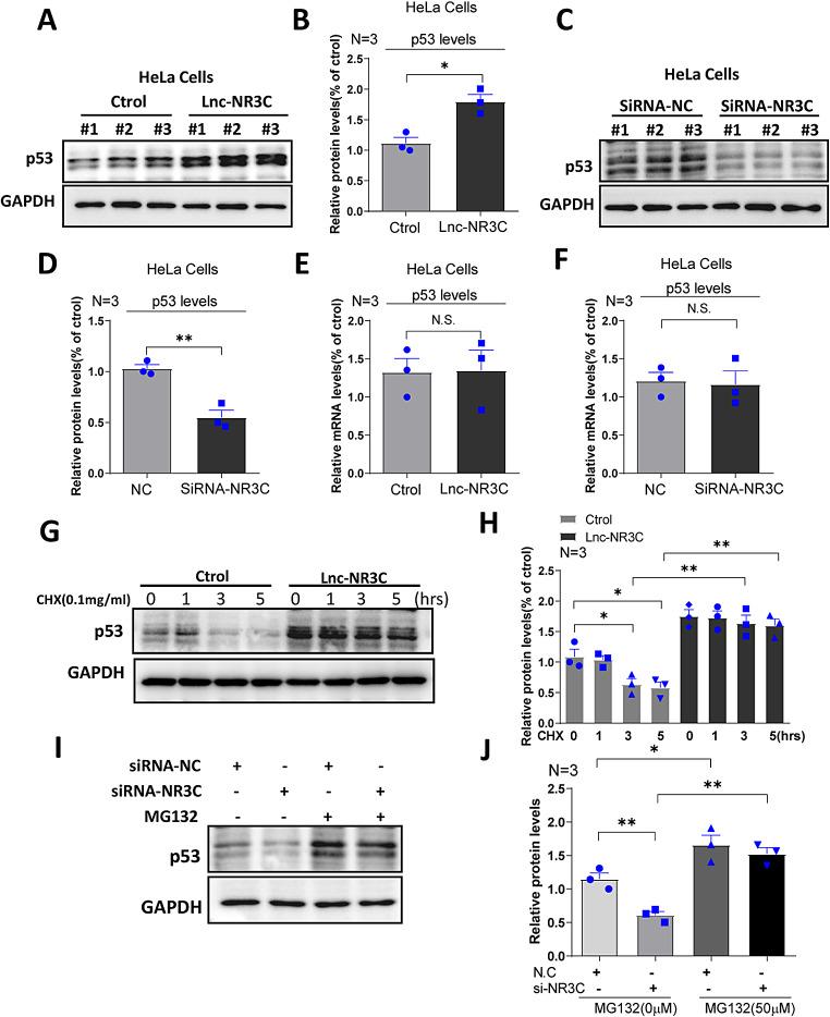 https://cdn.ncbi.nlm.nih.gov/pmc/blobs/3e3f/11415439/4b66b695f359/12035_2024_4059_Fig4_HTML.jpg