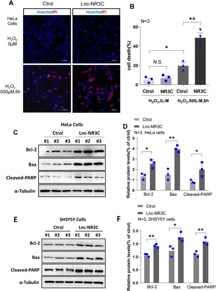 https://cdn.ncbi.nlm.nih.gov/pmc/blobs/3e3f/11415439/6a74e9eaad61/12035_2024_4059_Fig3_HTML.jpg