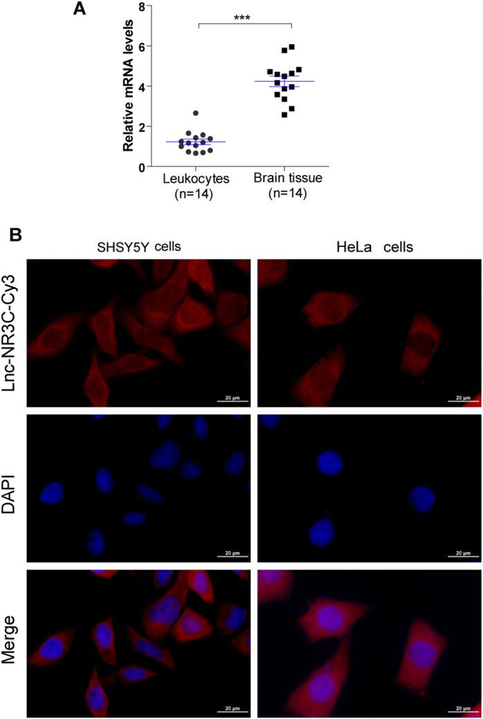 https://cdn.ncbi.nlm.nih.gov/pmc/blobs/3e3f/11415439/f08c2477fc43/12035_2024_4059_Fig1_HTML.jpg