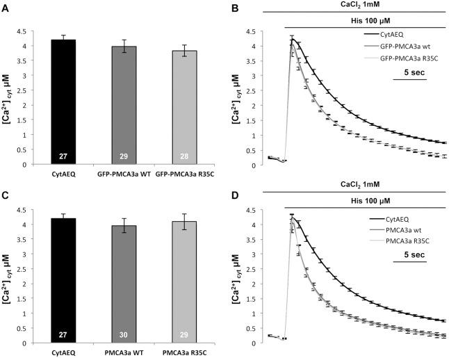 https://cdn.ncbi.nlm.nih.gov/pmc/blobs/3e42/4892658/ec6cb3a1c23d/dmm-9-022848-g4.jpg
