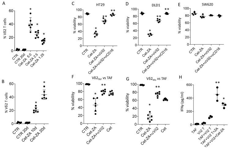 https://cdn.ncbi.nlm.nih.gov/pmc/blobs/3e42/9913507/2a7e484787fc/cancers-15-00610-g004.jpg