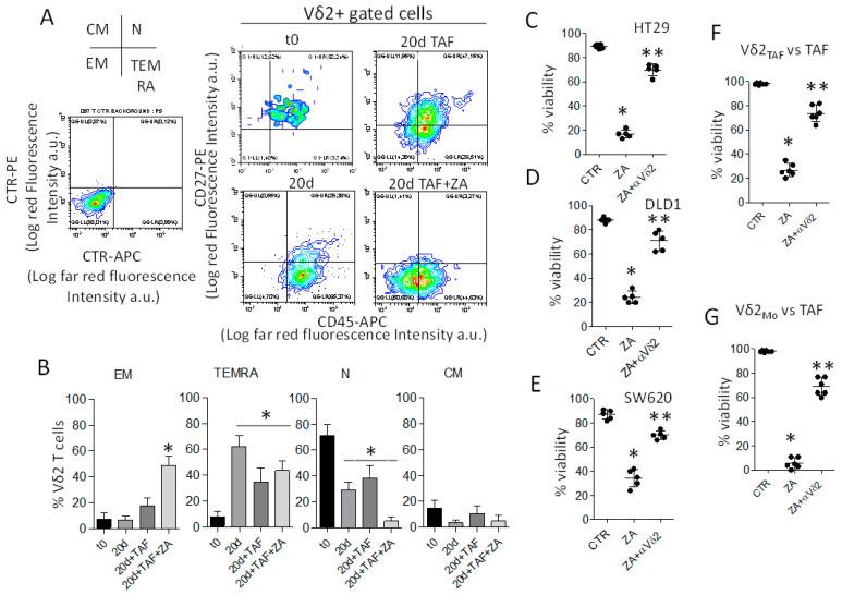 https://cdn.ncbi.nlm.nih.gov/pmc/blobs/3e42/9913507/a6e4f5d7c9f8/cancers-15-00610-g002.jpg