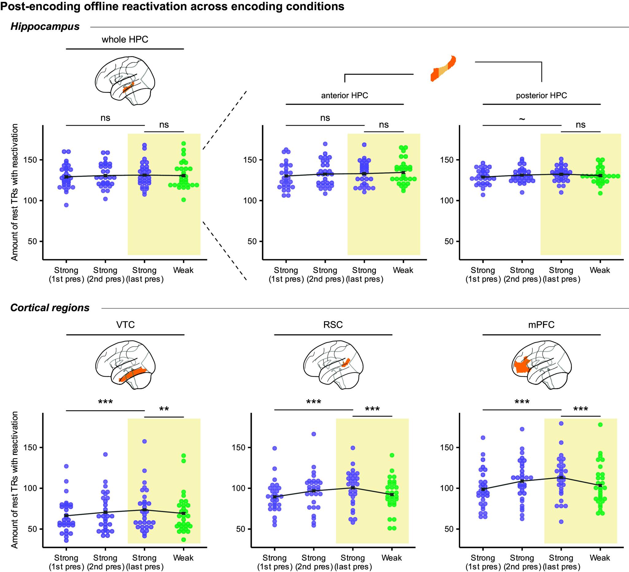 https://cdn.ncbi.nlm.nih.gov/pmc/blobs/3e43/11459139/4da1702b8c83/pnas.2405929121fig03.jpg