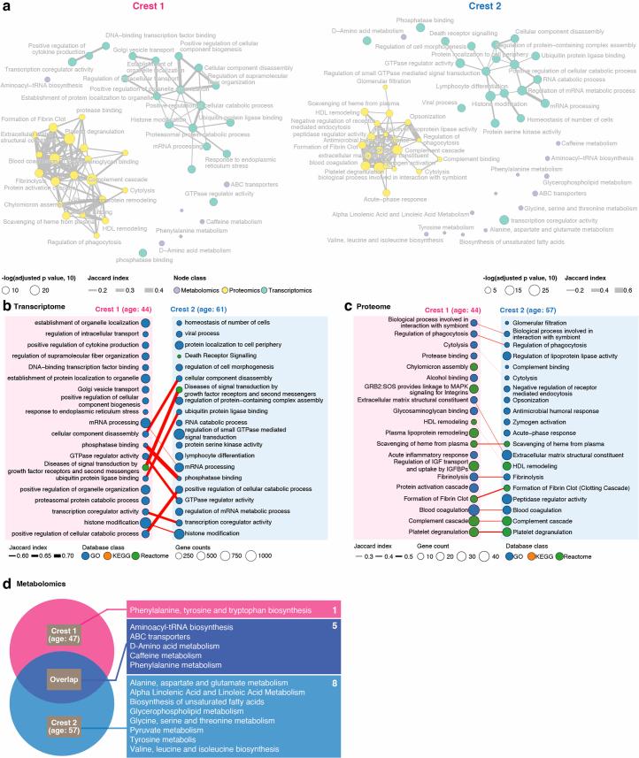 https://cdn.ncbi.nlm.nih.gov/pmc/blobs/3e45/11564093/c7cbfb2c0dba/43587_2024_692_Fig11_ESM.jpg