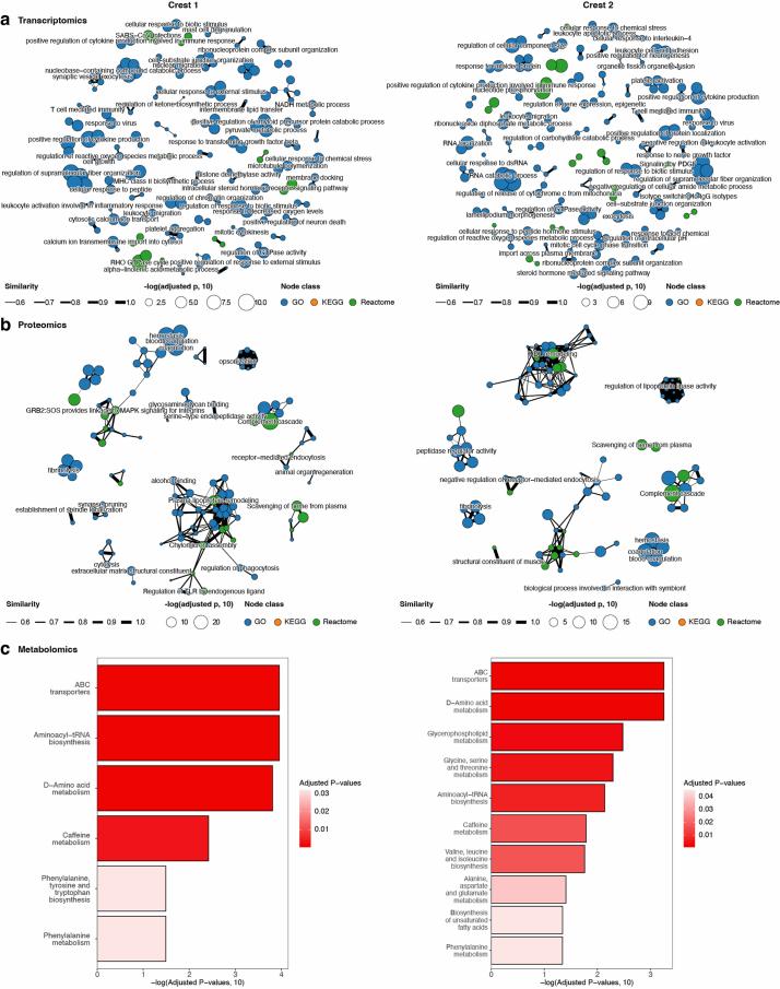 https://cdn.ncbi.nlm.nih.gov/pmc/blobs/3e45/11564093/d0925c4e4f38/43587_2024_692_Fig10_ESM.jpg