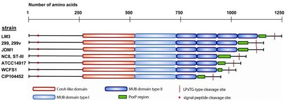 https://cdn.ncbi.nlm.nih.gov/pmc/blobs/3e45/3271238/2556705000da/1475-2859-10-S1-S3-8.jpg