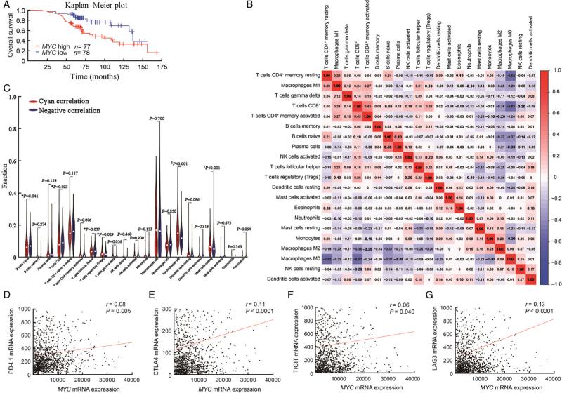 https://cdn.ncbi.nlm.nih.gov/pmc/blobs/3e47/9945371/4a19ce9c5841/cm9-135-2436-g002.jpg