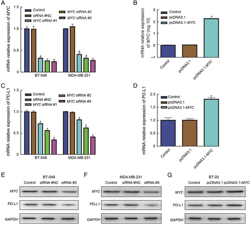https://cdn.ncbi.nlm.nih.gov/pmc/blobs/3e47/9945371/4c6a84ccfd96/cm9-135-2436-g004.jpg