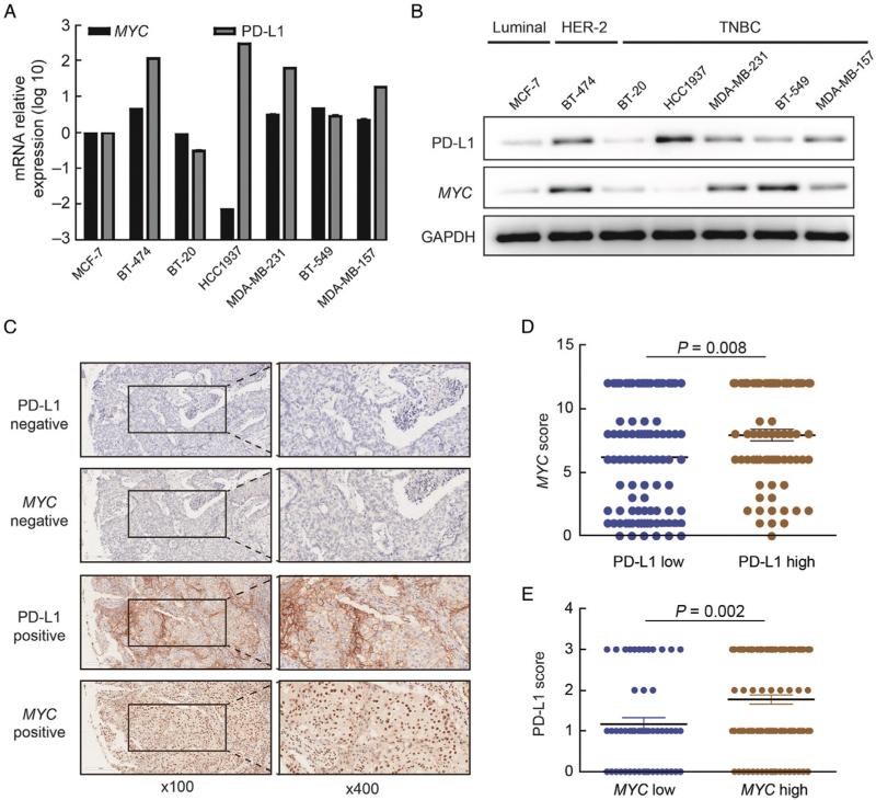 https://cdn.ncbi.nlm.nih.gov/pmc/blobs/3e47/9945371/7f5cccb1f48a/cm9-135-2436-g003.jpg