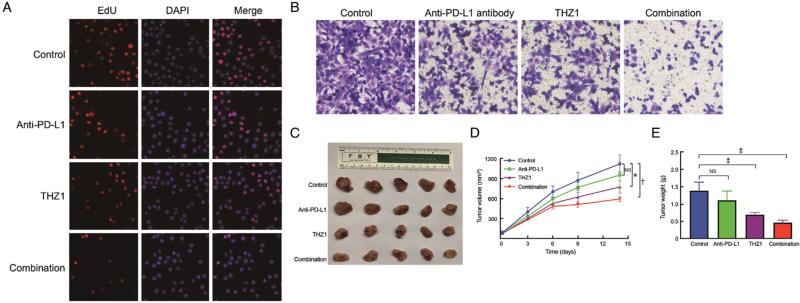https://cdn.ncbi.nlm.nih.gov/pmc/blobs/3e47/9945371/b5be4a6b753b/cm9-135-2436-g006.jpg