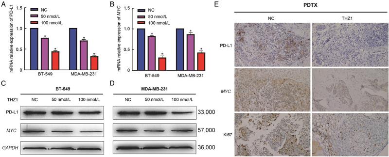 https://cdn.ncbi.nlm.nih.gov/pmc/blobs/3e47/9945371/ecb12822c297/cm9-135-2436-g005.jpg