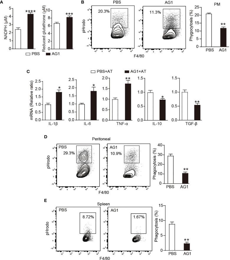 https://cdn.ncbi.nlm.nih.gov/pmc/blobs/3e49/8784392/226d33389f66/fimmu-12-797091-g002.jpg