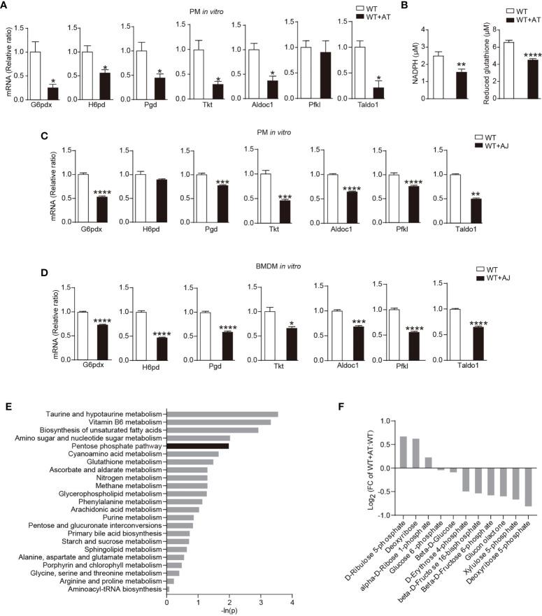 https://cdn.ncbi.nlm.nih.gov/pmc/blobs/3e49/8784392/5a7d9b441535/fimmu-12-797091-g001.jpg