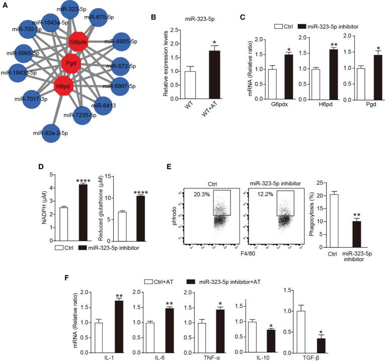 https://cdn.ncbi.nlm.nih.gov/pmc/blobs/3e49/8784392/d57756824ae0/fimmu-12-797091-g003.jpg