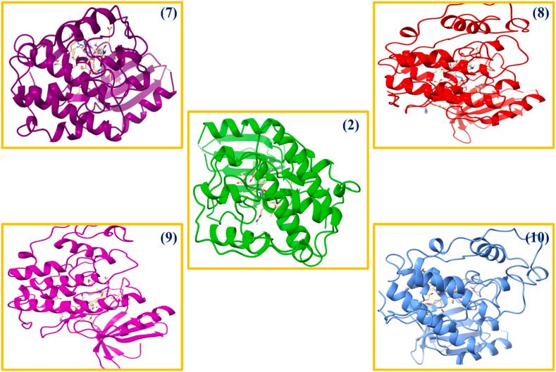 https://cdn.ncbi.nlm.nih.gov/pmc/blobs/3e4a/11238129/8a155f0743f5/gr4.jpg