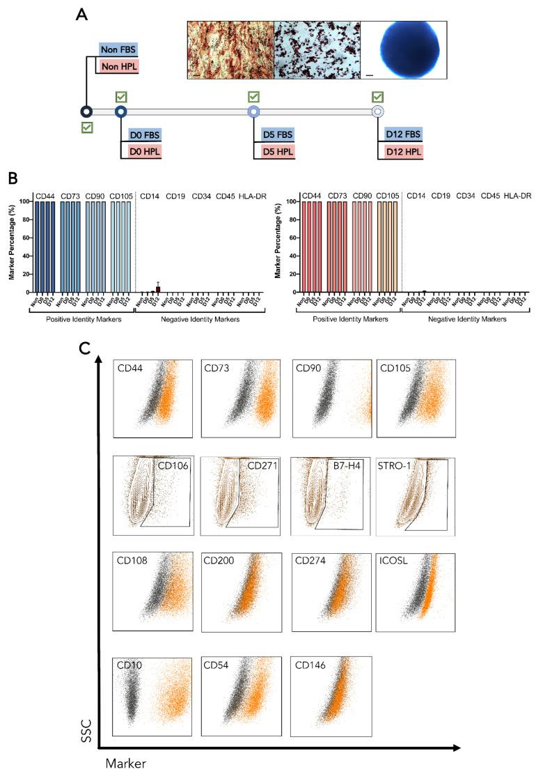 https://cdn.ncbi.nlm.nih.gov/pmc/blobs/3e4b/9774331/a6a7bf835901/bioengineering-09-00805-g003.jpg