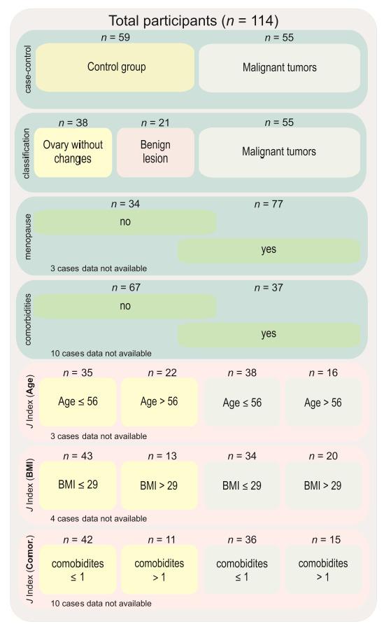 https://cdn.ncbi.nlm.nih.gov/pmc/blobs/3e4c/9563807/fbdeaf3d96ae/cancers-14-04899-g001.jpg