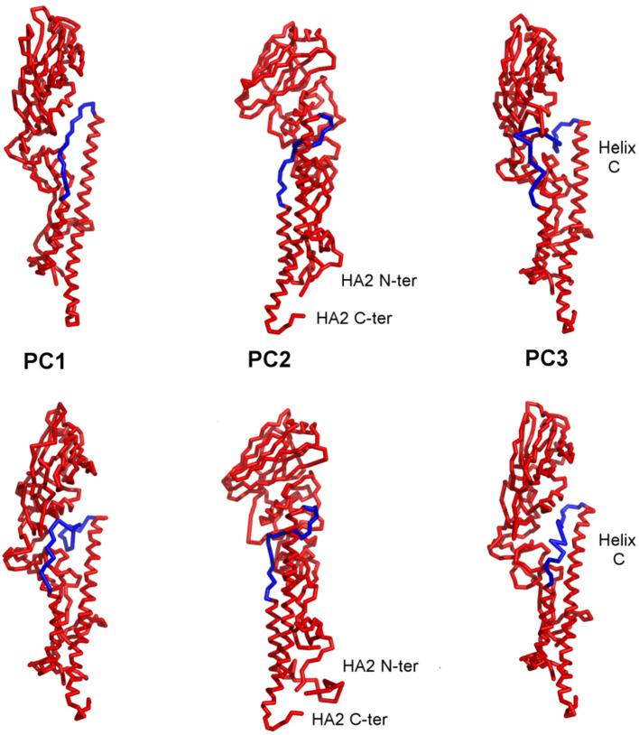 https://cdn.ncbi.nlm.nih.gov/pmc/blobs/3e4d/7886686/33884e0566a9/fmolb-07-607323-g0005.jpg