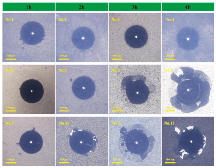 https://cdn.ncbi.nlm.nih.gov/pmc/blobs/3e4e/12072672/cb8cec6312ae/materials-18-01981-g004.jpg