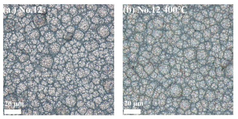 https://cdn.ncbi.nlm.nih.gov/pmc/blobs/3e4e/12072672/f52ed71d5bc0/materials-18-01981-g014.jpg