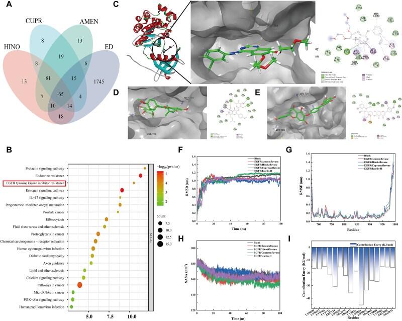 https://cdn.ncbi.nlm.nih.gov/pmc/blobs/3e4e/12341904/0a0635f0df6a/qfaf059f4.jpg