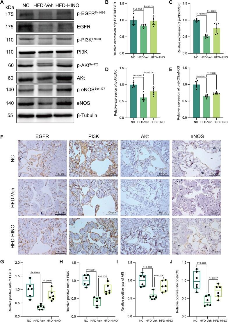 https://cdn.ncbi.nlm.nih.gov/pmc/blobs/3e4e/12341904/5fa1372d97b9/qfaf059f5.jpg
