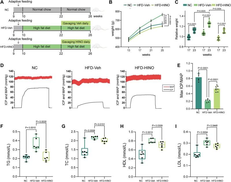 https://cdn.ncbi.nlm.nih.gov/pmc/blobs/3e4e/12341904/bacddaf6ace9/qfaf059f1.jpg
