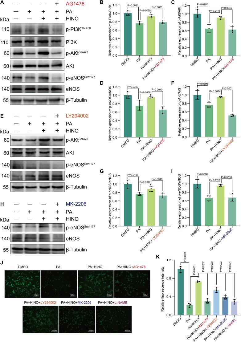 https://cdn.ncbi.nlm.nih.gov/pmc/blobs/3e4e/12341904/c92a154455cc/qfaf059f6.jpg