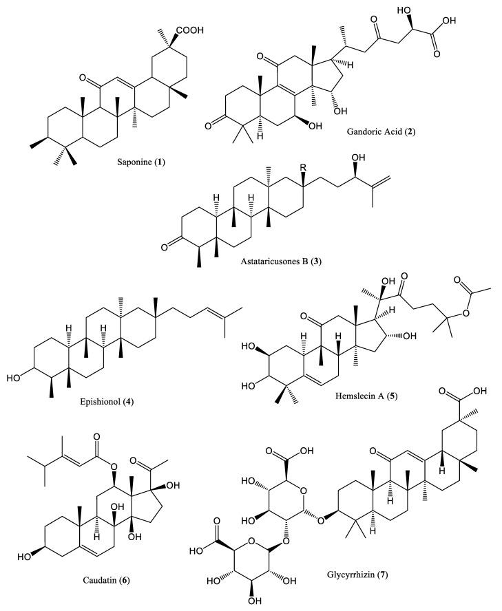 https://cdn.ncbi.nlm.nih.gov/pmc/blobs/3e50/8836293/083ca6a22649/ijms-23-01617-g001a.jpg
